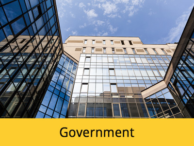 goverment
